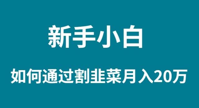 新手小白如何通过割韭菜月入 20W-百盟网