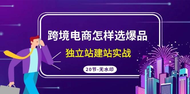 跨境电商怎样选爆品，独立站建站实战（20节高清无水印课）-百盟网