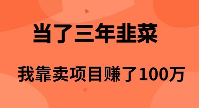 当了3年韭菜，我靠卖项目赚了100万-百盟网