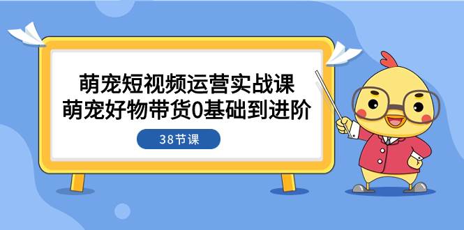 萌宠·短视频运营实战课：萌宠好物带货0基础到进阶（38节课）-百盟网