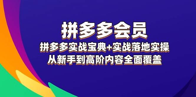 拼多多 会员，拼多多实战宝典+实战落地实操，从新手到高阶内容全面覆盖-百盟网