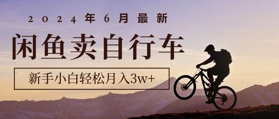 2024年6月最新闲鱼卖自行车，新手小白轻松月入3w+项目-百盟网