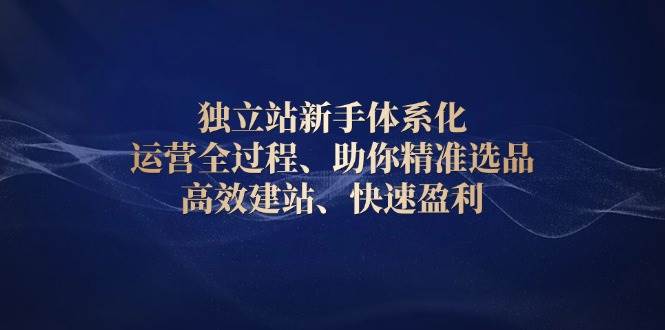 独立站新手体系化 运营全过程，助你精准选品、高效建站、快速盈利-百盟网