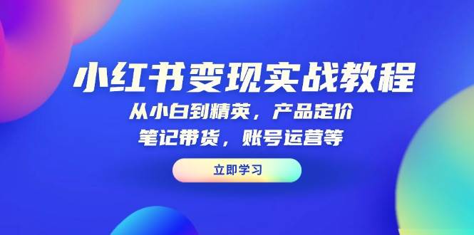 小红书变现实战教程：从小白到精英，产品定价，笔记带货，账号运营等-百盟网