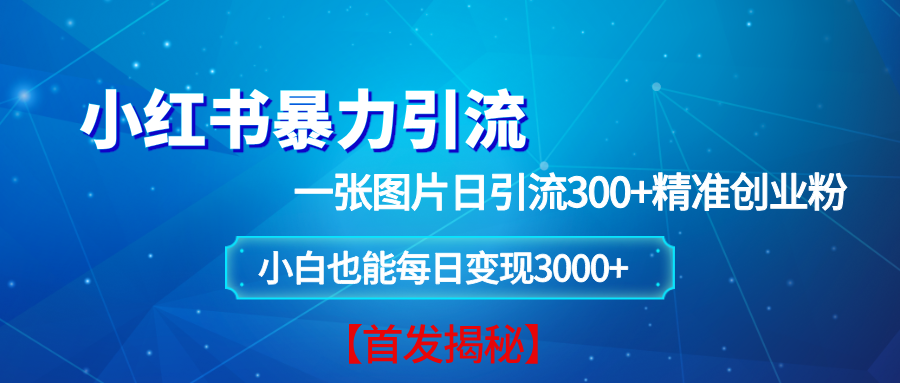 小红书暴力引流法，一张图片日引 300+精准创业粉，每日稳定变现 3000+【揭秘】-百盟网