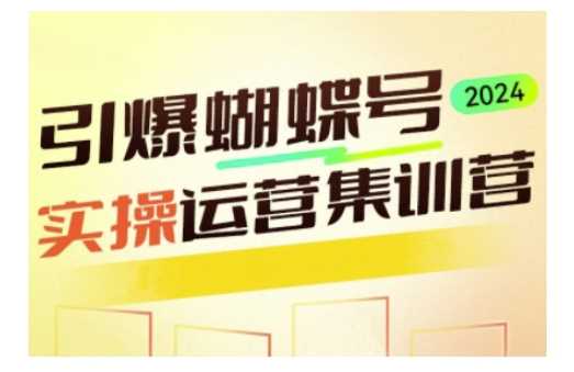 引爆蝴蝶号实操运营，助力你深度掌握蝴蝶号运营，实现高效实操，开启流量变现之路-百盟网