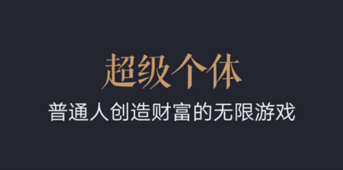 超级个体：2024-2025翻盘指南，普通人创造财富的无限游戏-百盟网