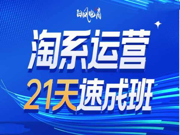 淘系运营21天速成班35期，年前最后一波和2025方向-百盟网