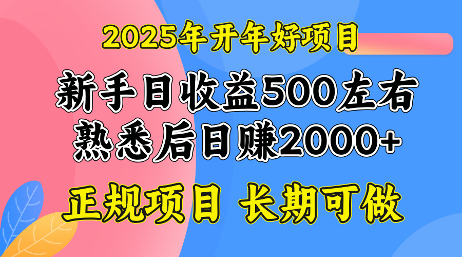 2025开年好项目，单号日收益2000左右-百盟网