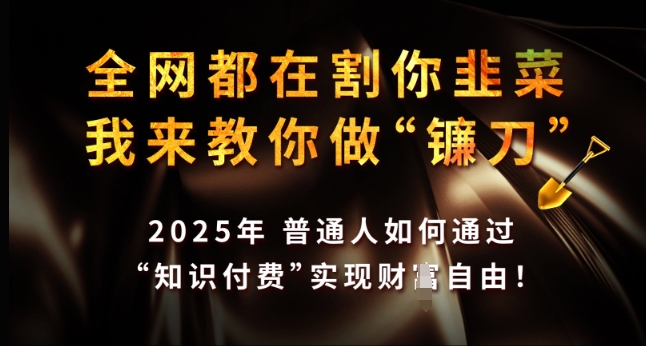 全网都在割你韭菜，我来教你做镰刀，2025年普通人如何通过 知识付费 实现财F自由【揭秘】-百盟网