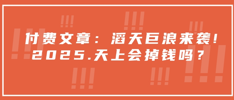 付费文章：滔天巨浪来袭！2025天上会掉钱吗？-百盟网