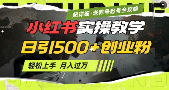 2月小红书最新日引500+创业粉实操教学【超详细】小白轻松上手，月入1W+，附小红书养号起号SOP-百盟网