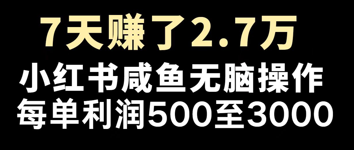 最赚钱项目之一，2025爆火，逆风翻盘！-百盟网