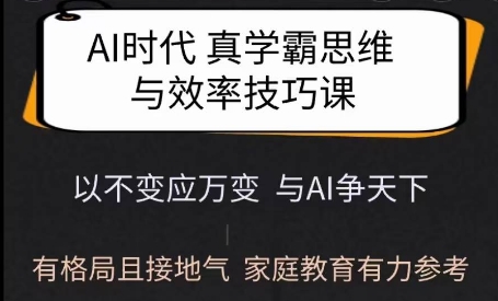 Ai时代真学霸思维与学习方法课，有格局且接地气，家庭教育有力参考-百盟网