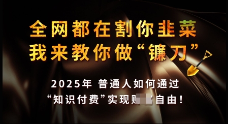 知识付费如何做到月入过W+，2025我来教你做“镰刀”【揭秘】-百盟网