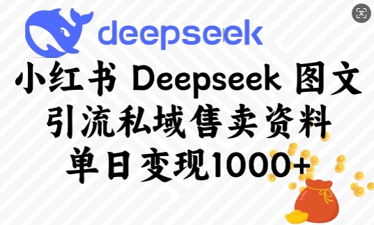 小红书Deepseek图文引流私域售卖资料，单日变现多张-百盟网