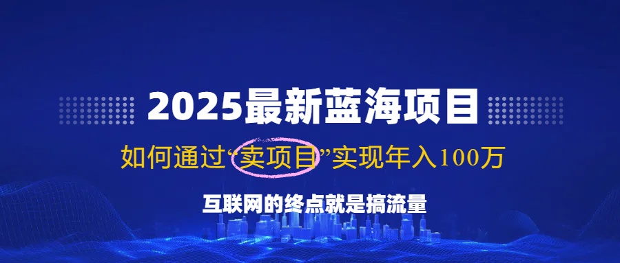 2025最新蓝海项目，零门槛轻松复制，月入10万+，新手也能操作！-百盟网