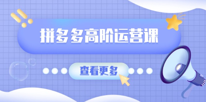 拼多多高阶运营课：极致群爆款玩法，轻付费无尽复制，打造单品爆款之路-百盟网