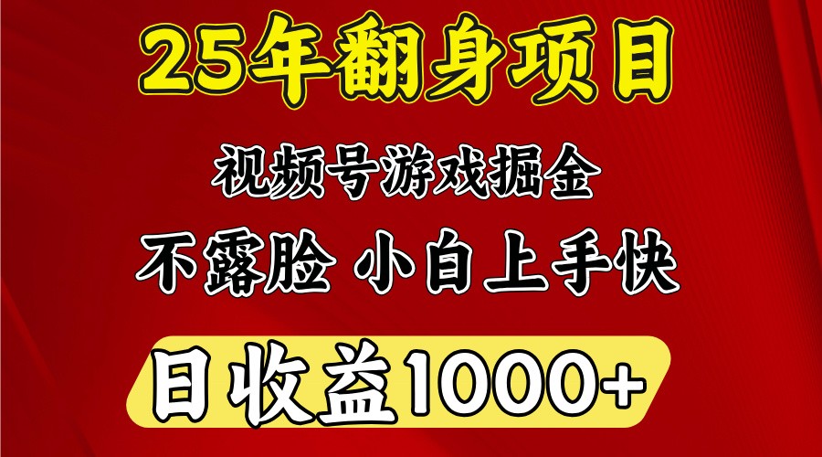 一天收益1000+ 25年开年落地好项目-百盟网