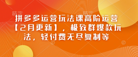 拼多多运营玩法课高阶运营【2月更新】，极致群爆款玩法，轻付费无尽复制等-百盟网