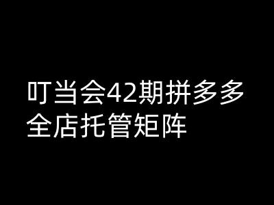 叮当会拼多多打爆班原创高阶技术第42期，拼多多全店托管矩阵-百盟网