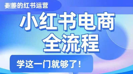 小红书电商全流程，精简易懂，从入门到精通，学这一门就够了-百盟网